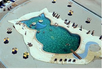 1964_007 Takes Miami_Fontainebleau Miami Beach_Cat-shaped Pool